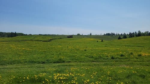 20230529_104811-1-500&#215;281