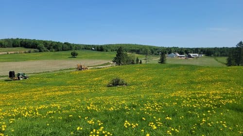 20230529_105749-1-500&#215;281