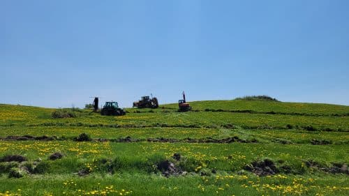 20230529_123222-1-500&#215;281
